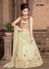 G1308 - Light Green embroidered Girls Lehenga Choli